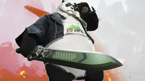 苏丹最大民间政治组织分裂成两个独立政党